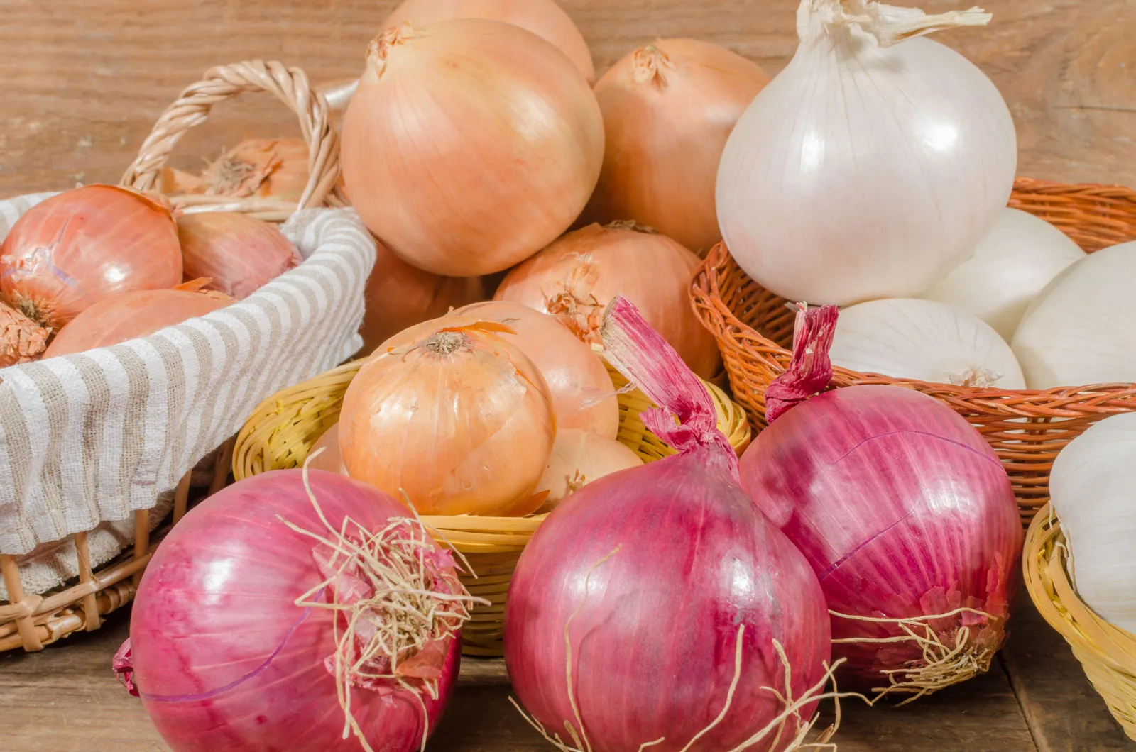 Onion bulbs shapes variety colours sizes